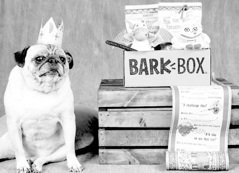 BarkBox